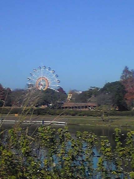 どうぶつえん