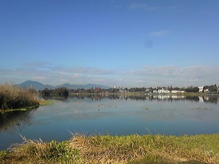 いう゛といつもの公園ちう