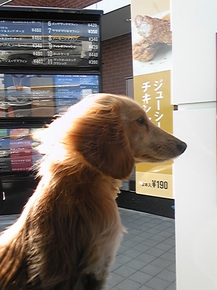 しゅうちゃんと朝マック