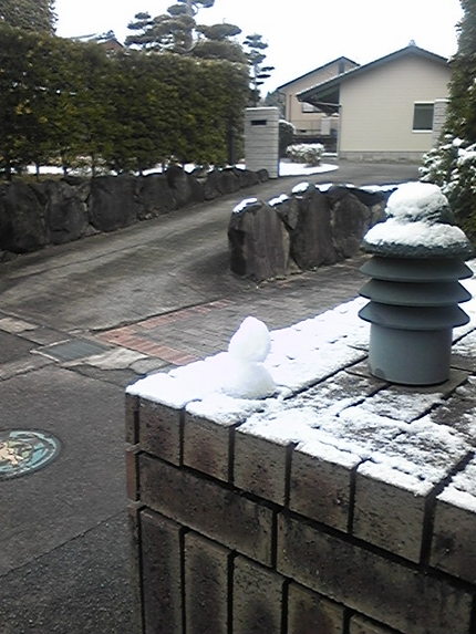 まだ生きてた