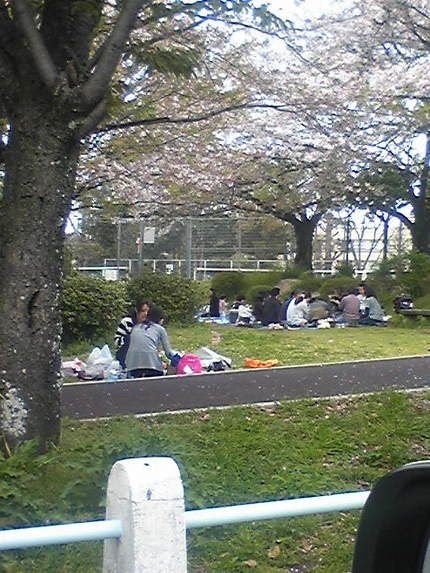 花見