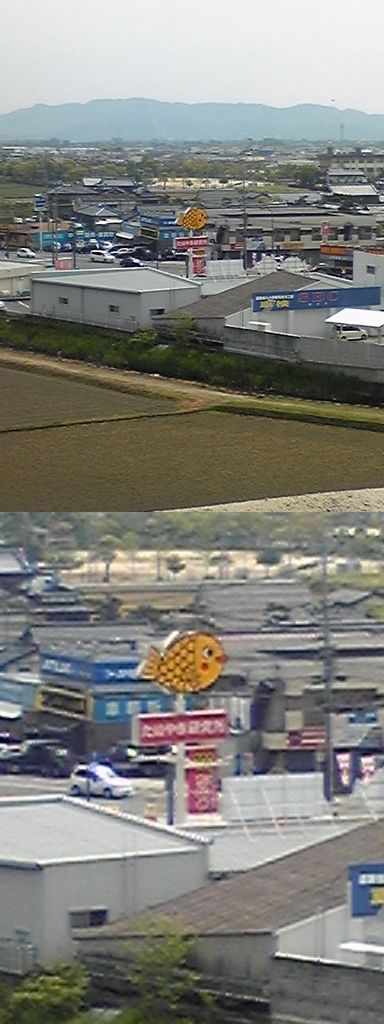 甘い誘惑