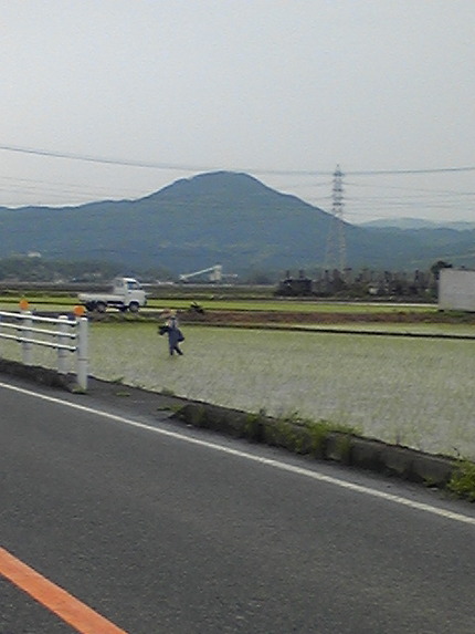 田んぼも化粧なおし...
