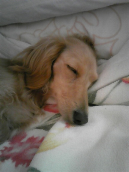 ZZZ