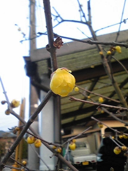 ご近所で