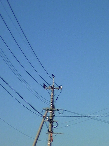 おはよう( ゜▽゜)/...