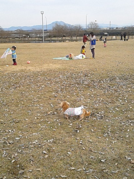 今度はいう゛と