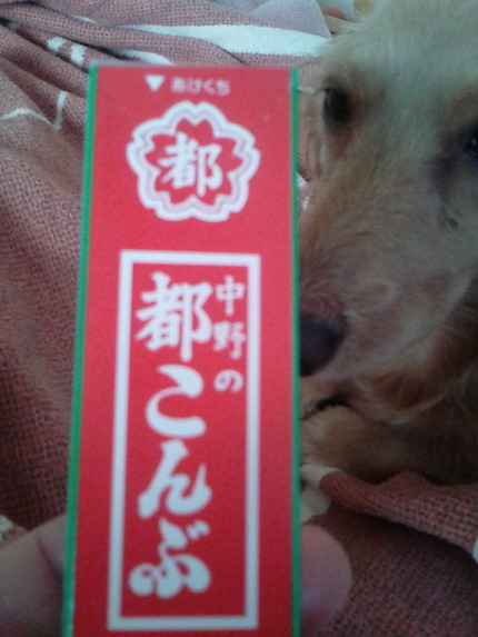 たまに食べたくなる