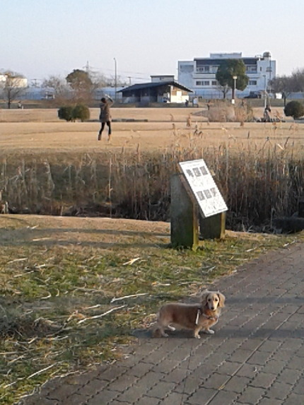 次はイヴと