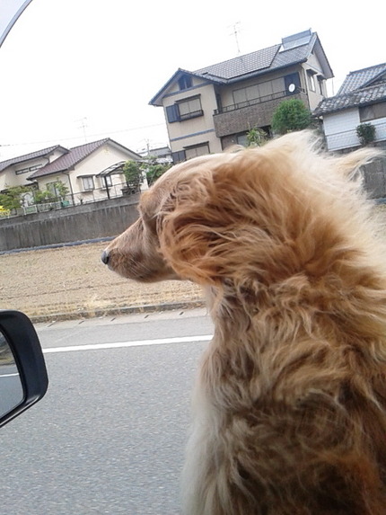 ちょっと床屋まで