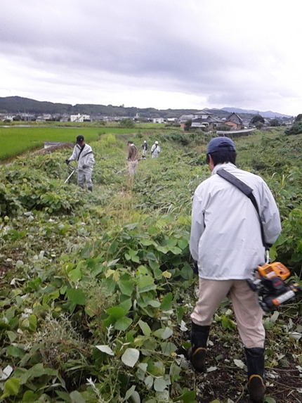 苦役ちう