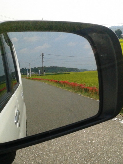 やっぱり