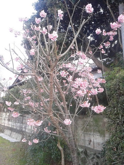 こっそりと
