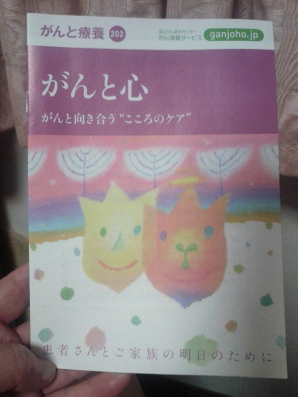 さてと、寝るかな