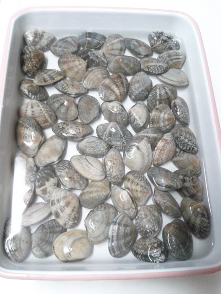結局海系に