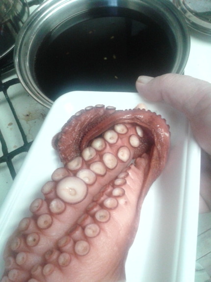 まだ食べれないが