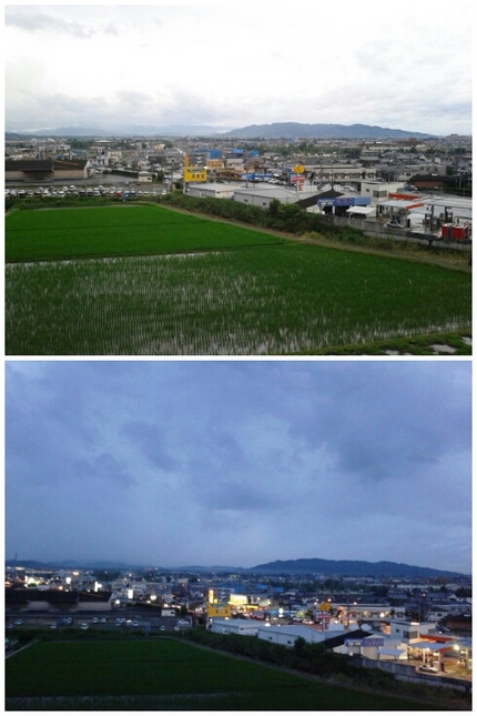 今回の風景