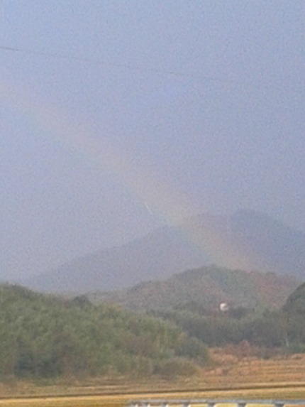 すんごい雷雨