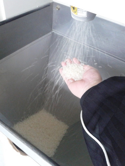 精米ちう