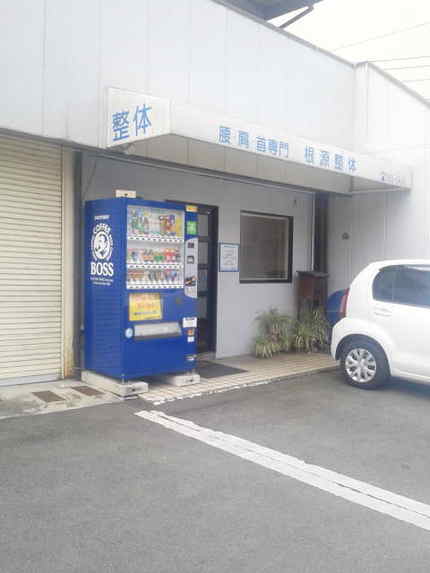 根源整体