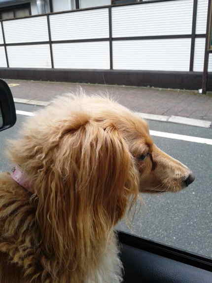 朝ドラ