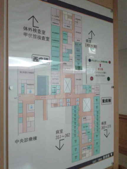 大学病院に