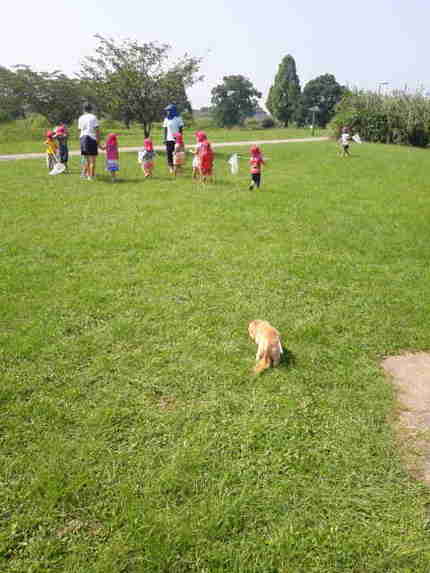 久しぶりにいつもの公園