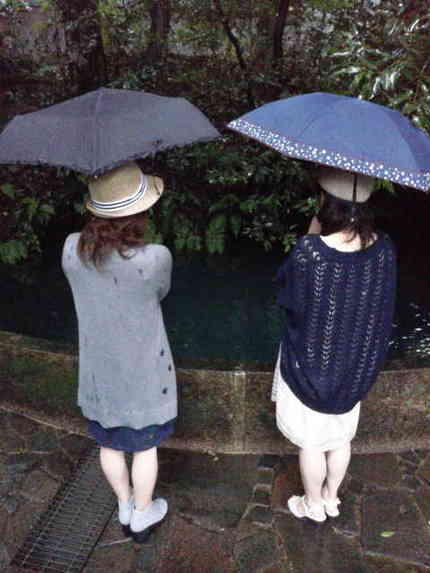 お池さんに