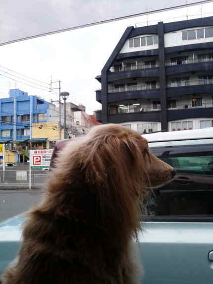 おはよう！