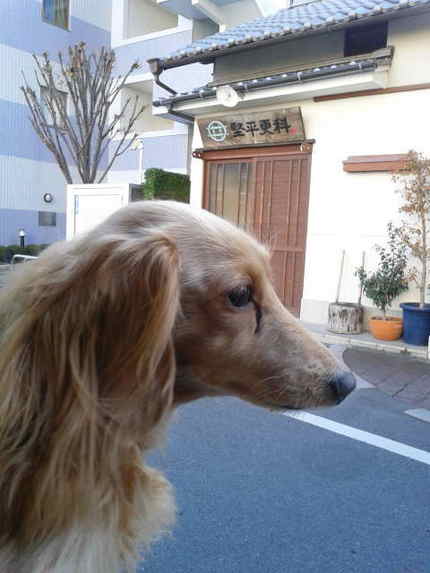 朝ドラ