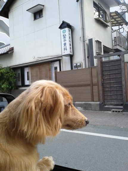 朝ドラ
