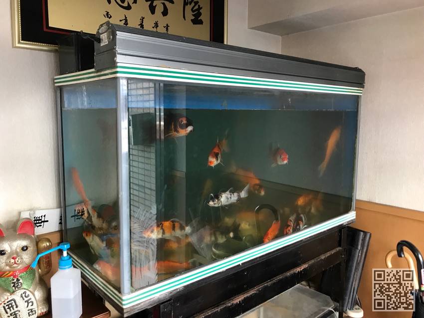 ★ドアを開けると水槽があります...