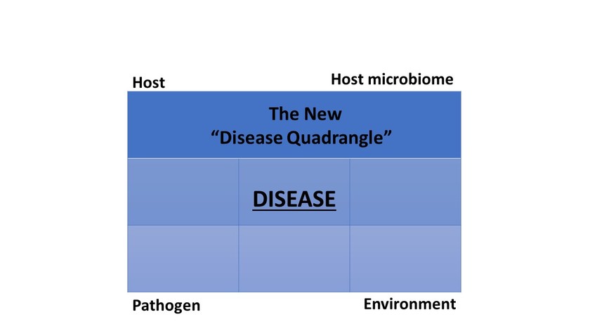 A "disease quadrangle"- gut m...