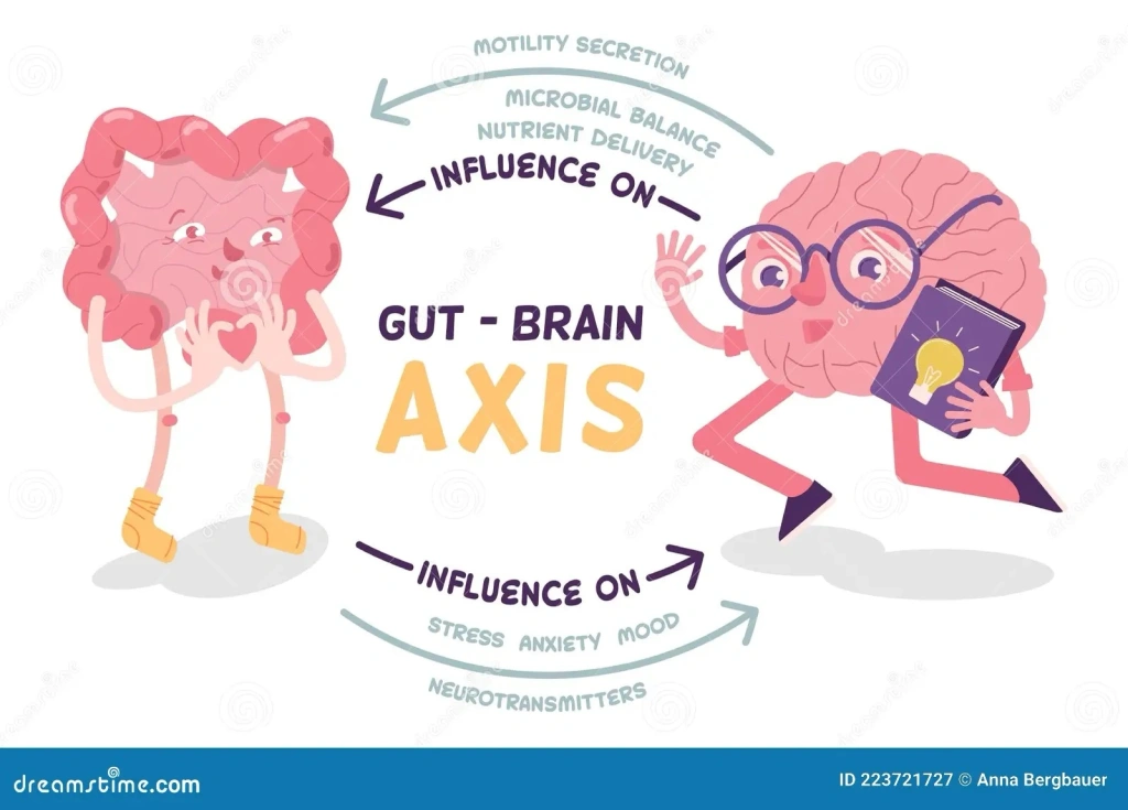 Gut- brain study explores cogni...