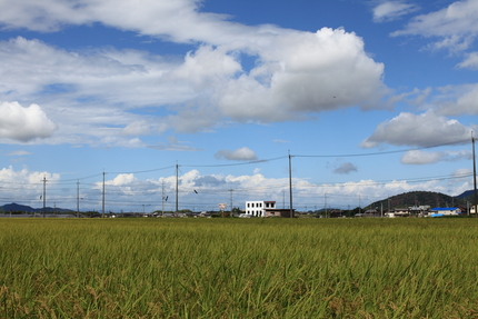 天高く・・・