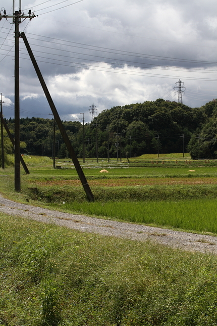 里山の秋