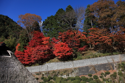 紅葉＜山里の風情＞(1)