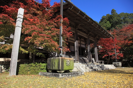 紅葉＜東光寺＞(8)