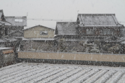 今朝もまた雪、今年は降りかける...