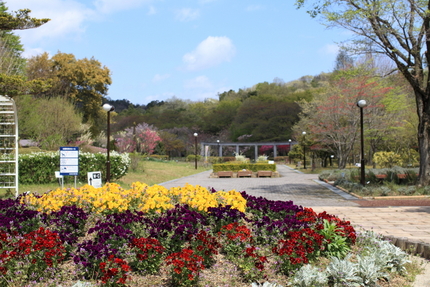 滋賀県立近江富士花緑公園(1)