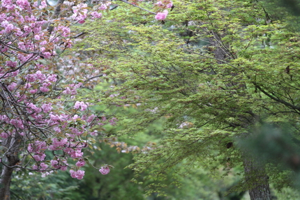 贅沢な撮り合わせ