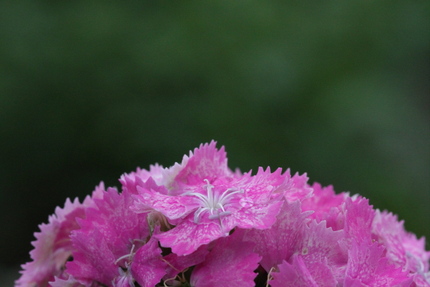 この写真もISO3200