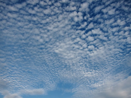 もう秋の空？？