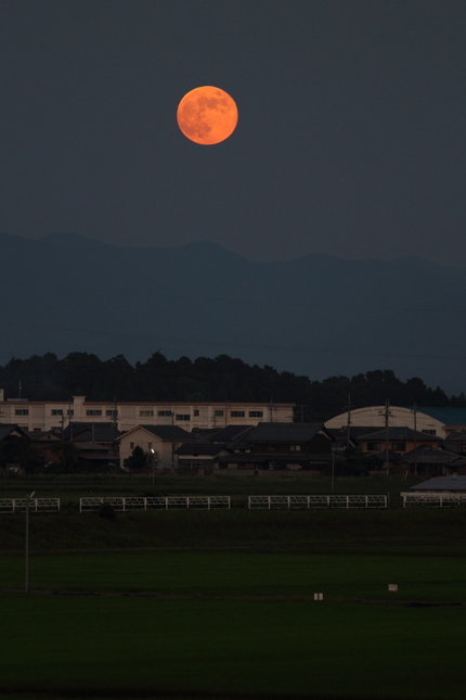 今宵は十五夜