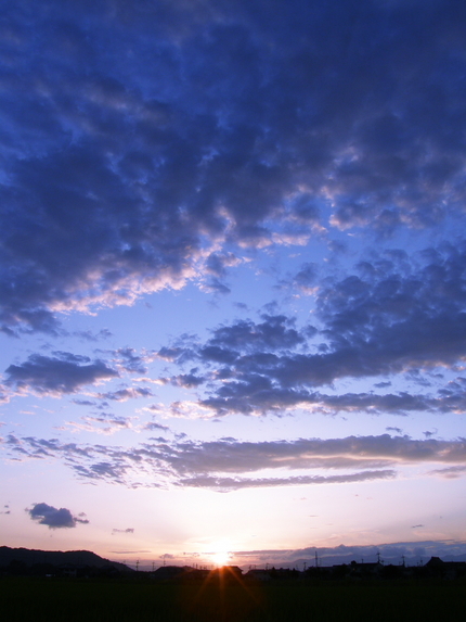 やっと夏空に・・・