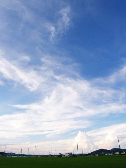入道雲がにょきにょきと
