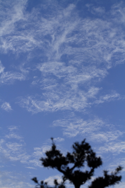 ちょっと変わった雲