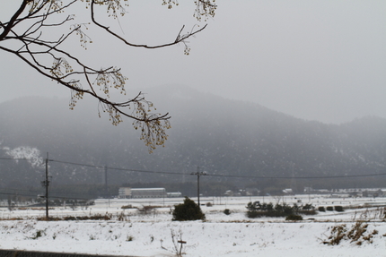 この冬の初雪