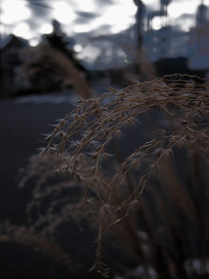 冬の夕暮れ