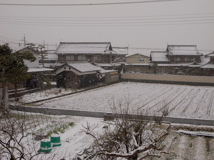 降りしきる雪